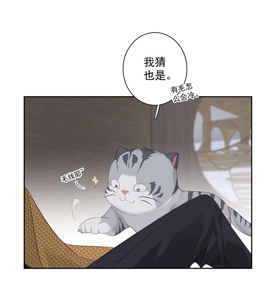 跨物种相亲038 好一张思春的脸