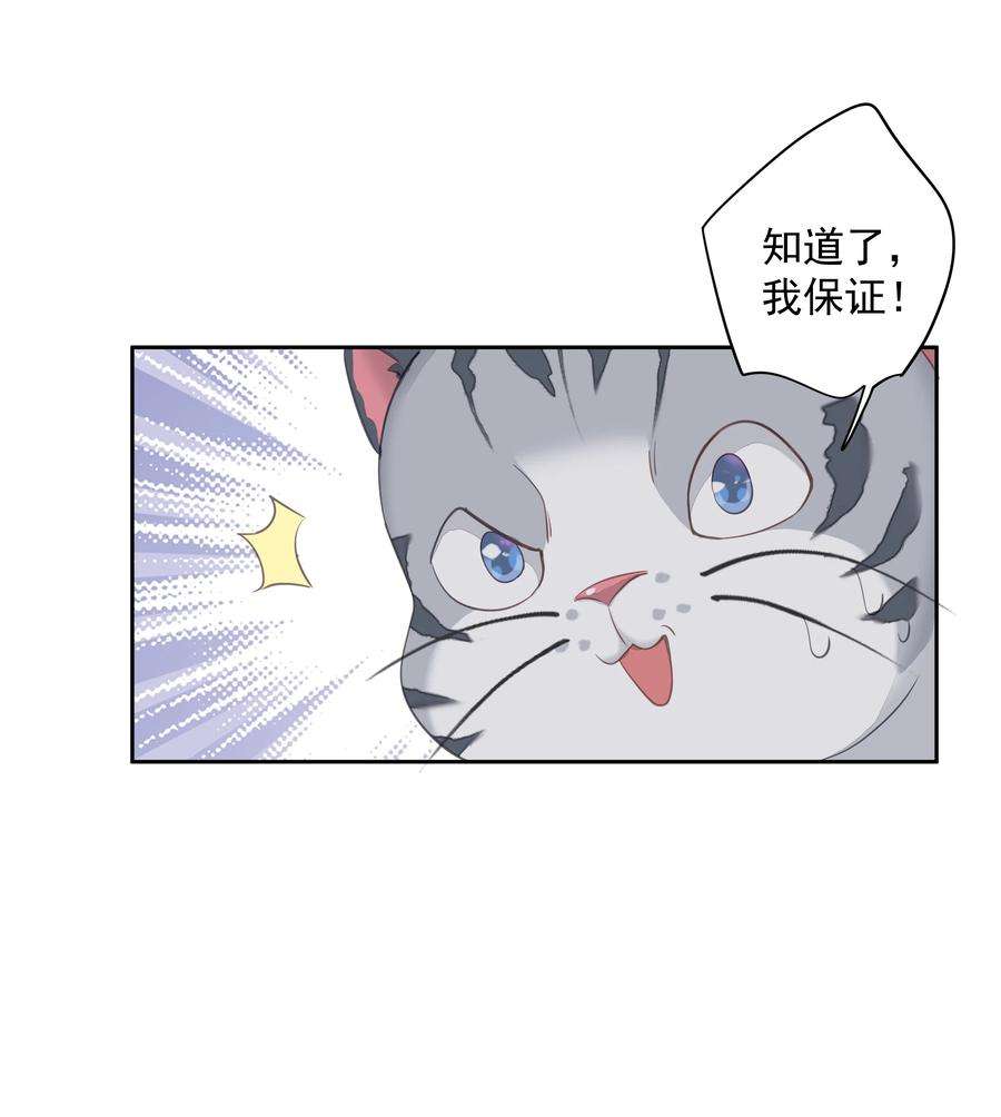 跨物种相亲038 好一张思春的脸