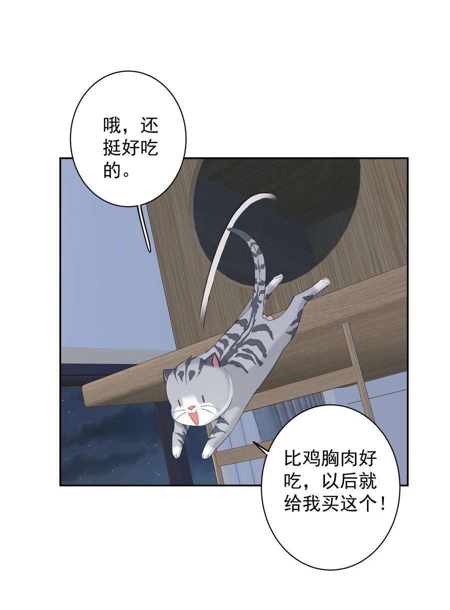 跨物种相亲038 好一张思春的脸