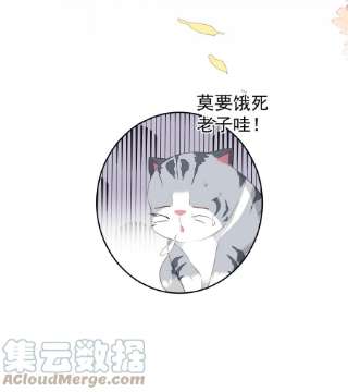 跨物种相亲039 啵~了！