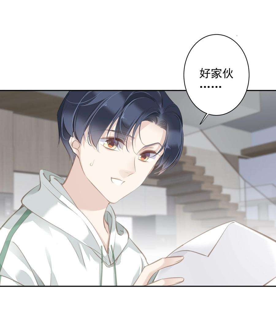 跨物种相亲044 众筹猫粮
