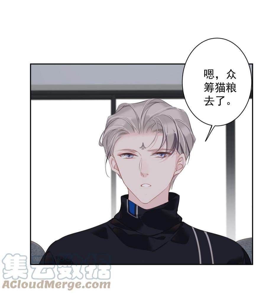 跨物种相亲044 众筹猫粮