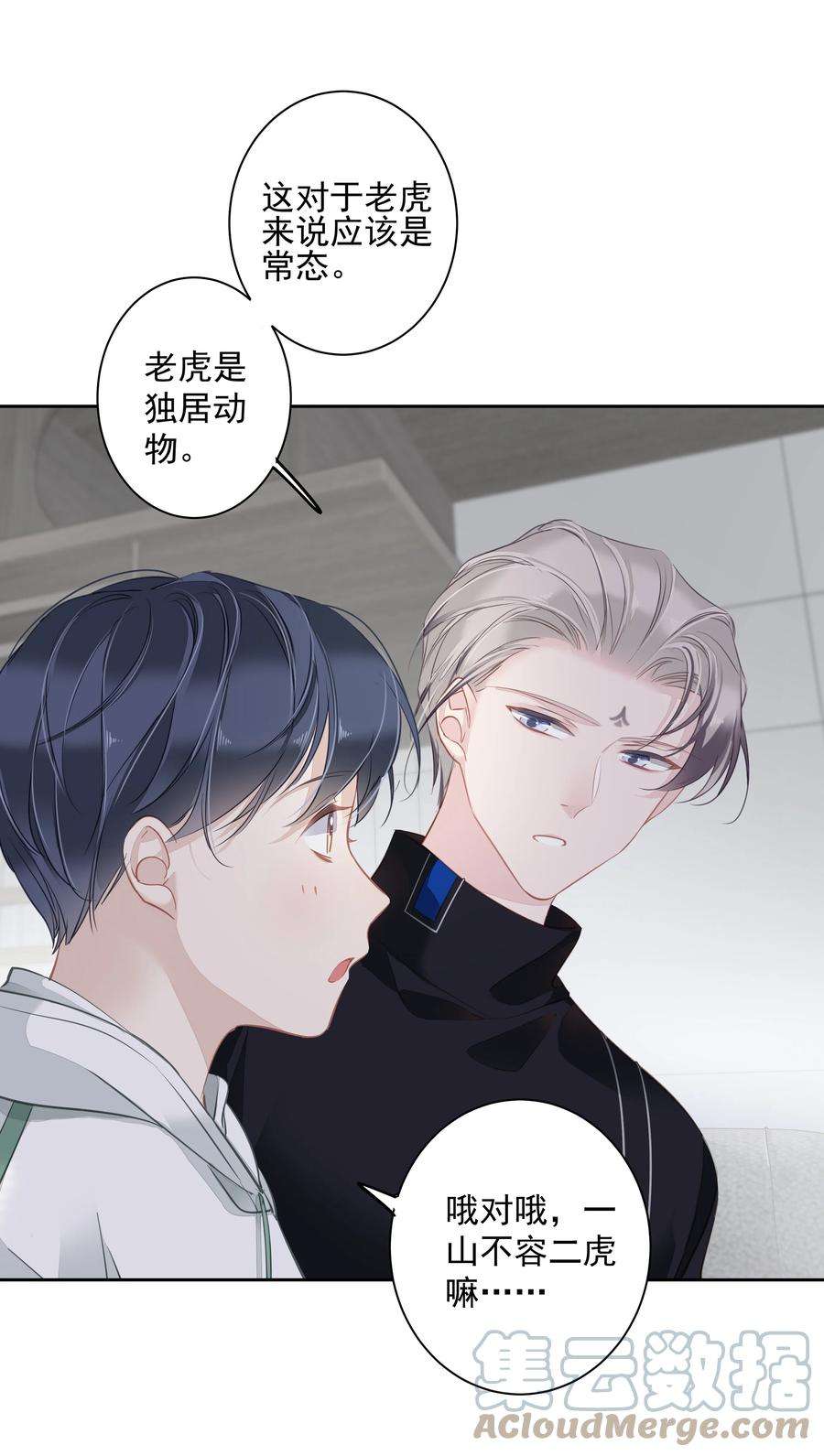 跨物种相亲044 众筹猫粮
