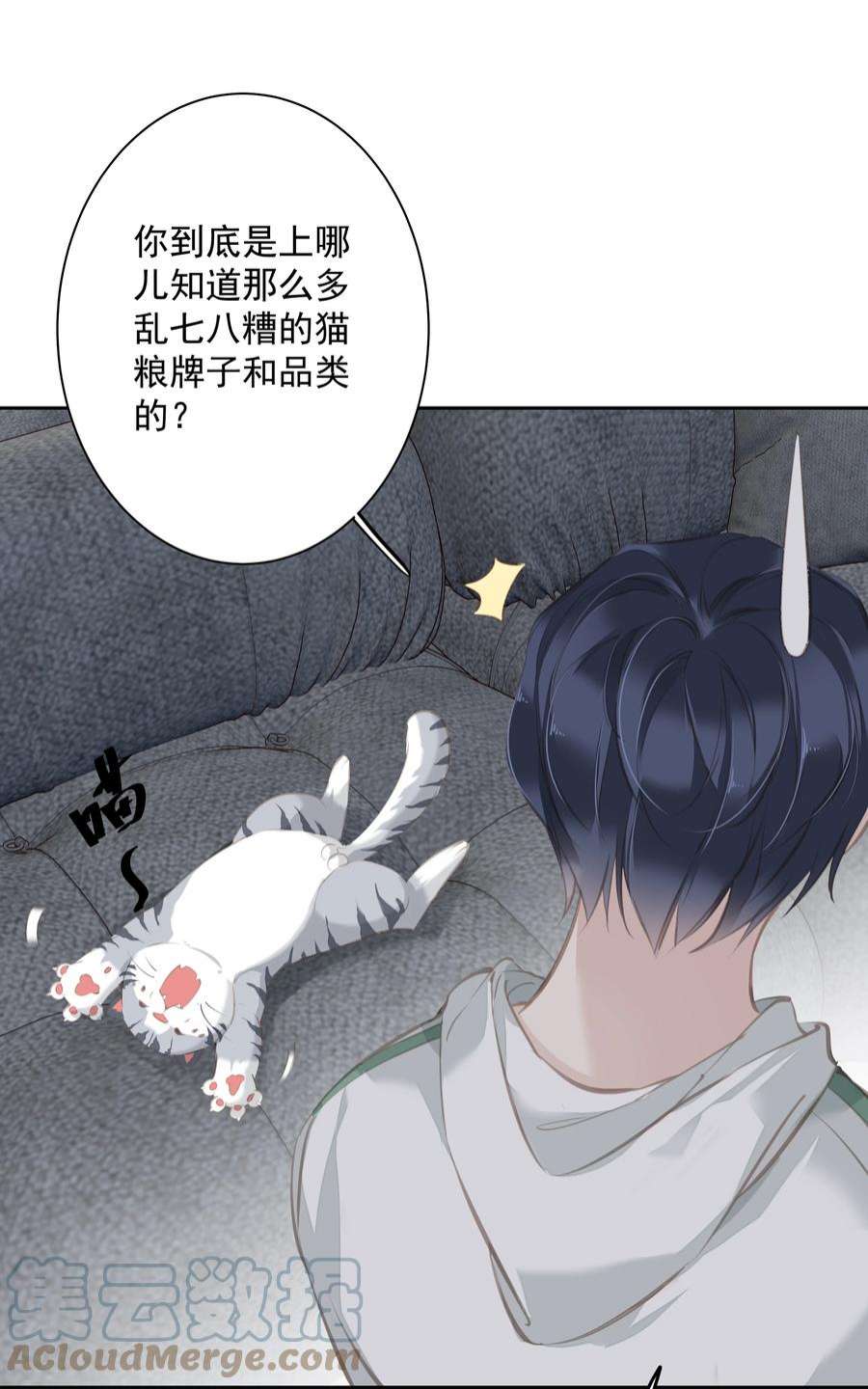 跨物种相亲044 众筹猫粮