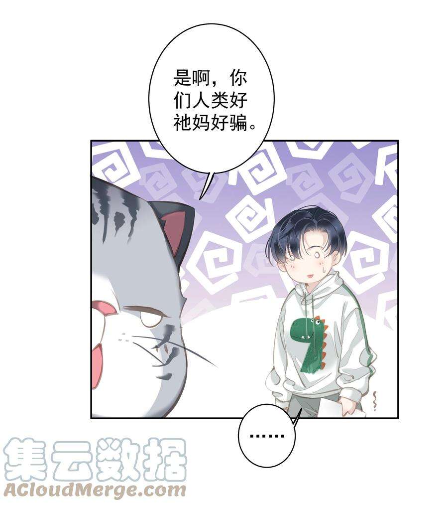 跨物种相亲044 众筹猫粮