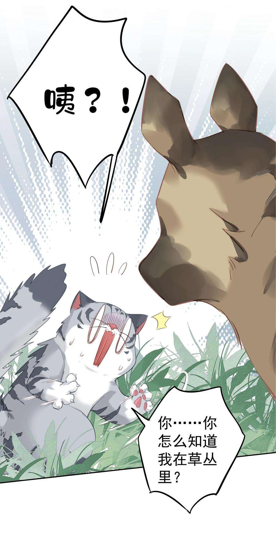 跨物种相亲047 白玉狸去上学