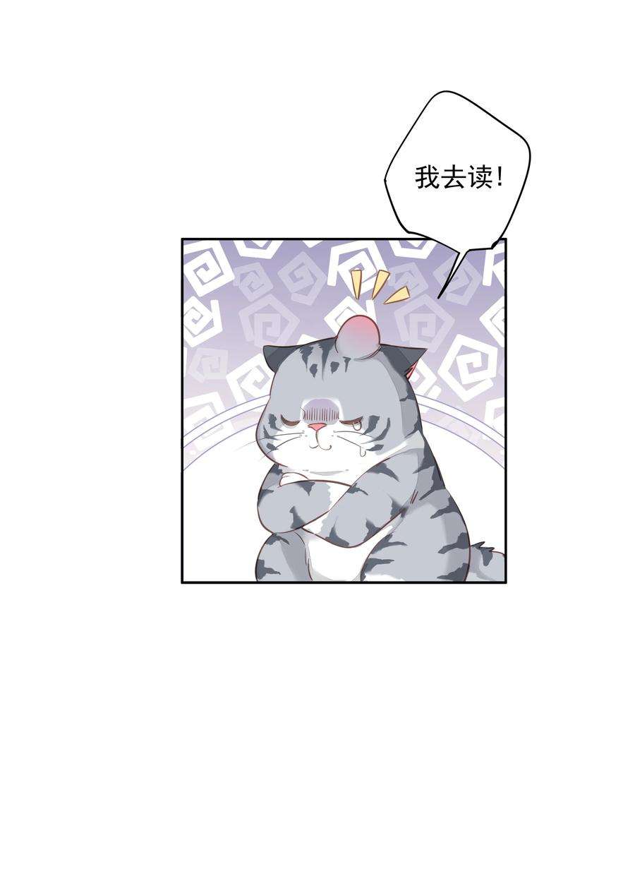 跨物种相亲047 白玉狸去上学