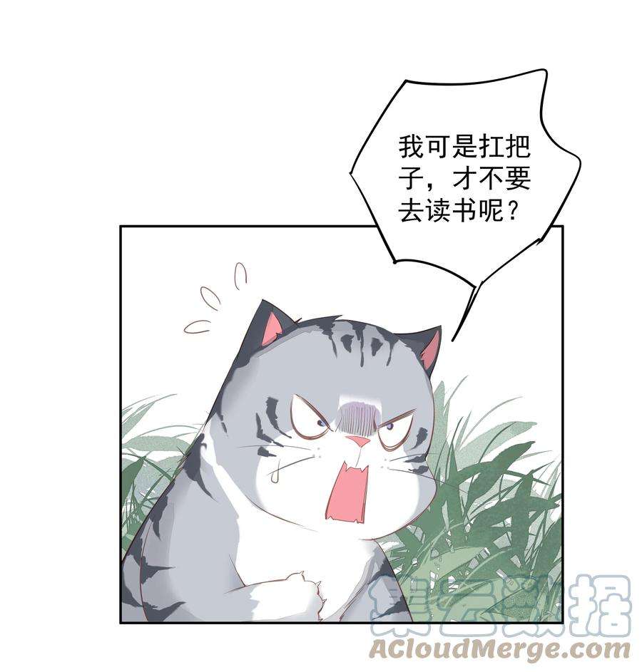 跨物种相亲047 白玉狸去上学