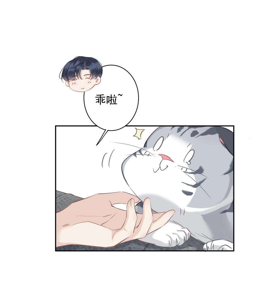 跨物种相亲047 白玉狸去上学