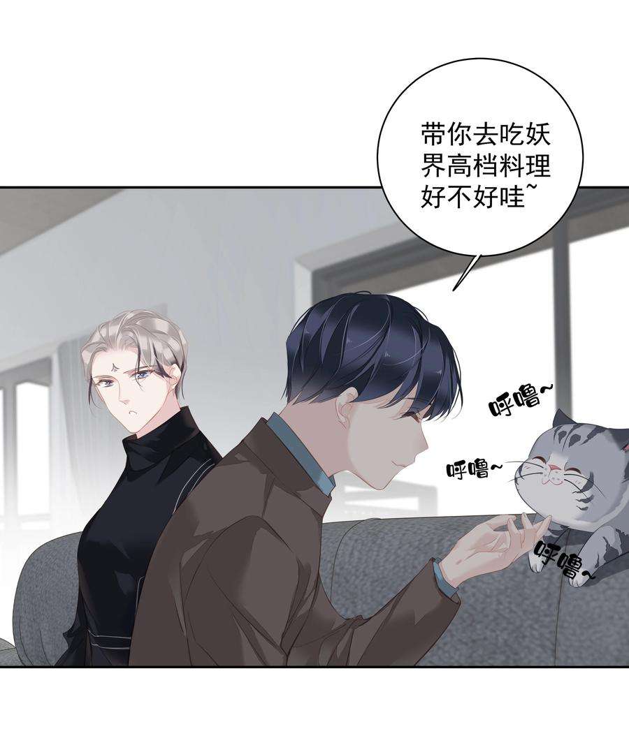 跨物种相亲047 白玉狸去上学