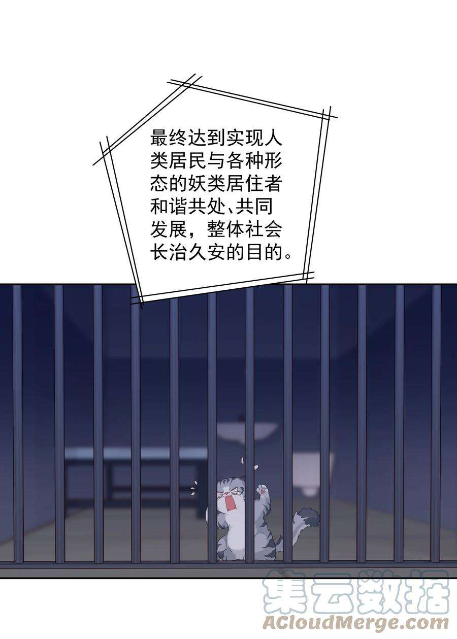 跨物种相亲047 白玉狸去上学