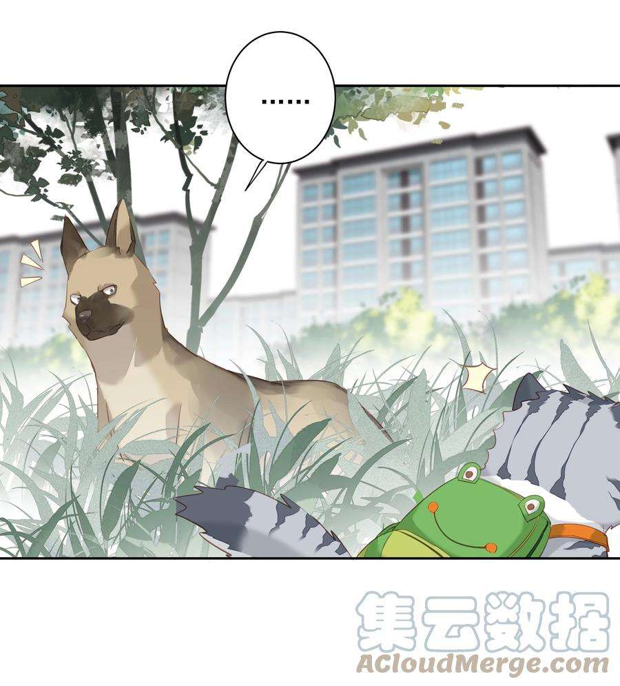 跨物种相亲049 我要正式和你约会