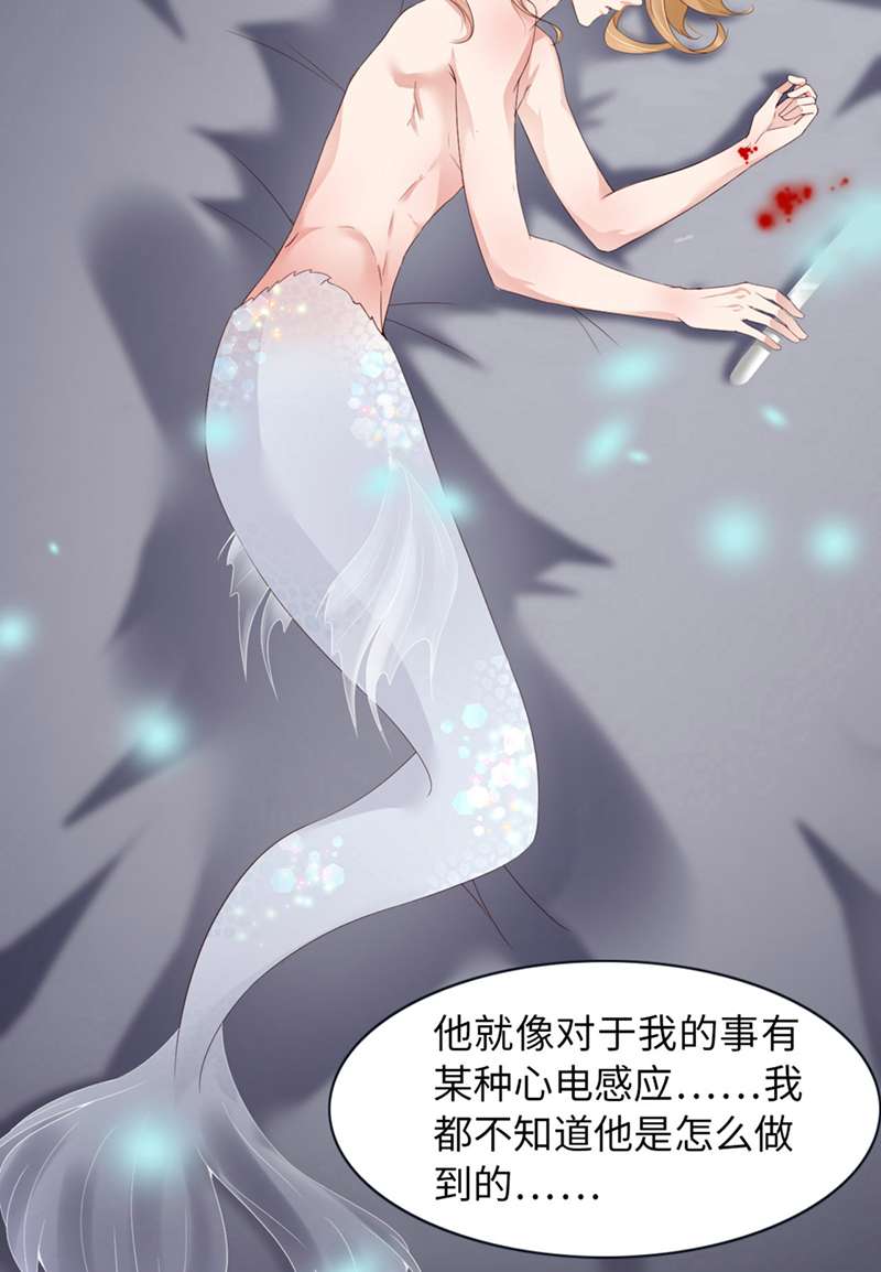 爱有獠牙046 命运的安排