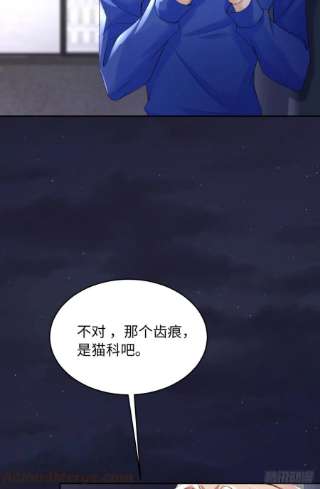 爱有獠牙055 大型猫科动物