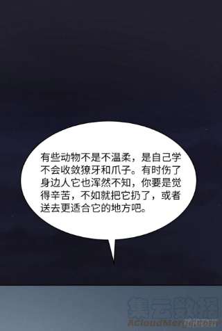 爱有獠牙055 大型猫科动物