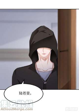 爱有獠牙055 大型猫科动物