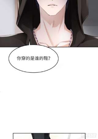 爱有獠牙055 大型猫科动物