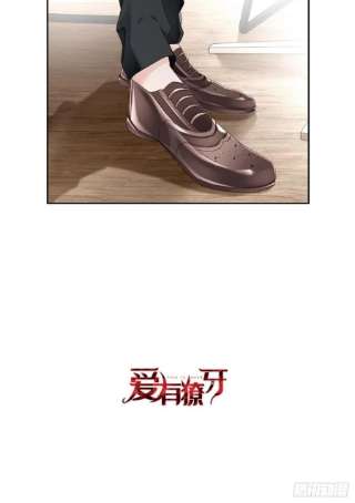 爱有獠牙055 大型猫科动物