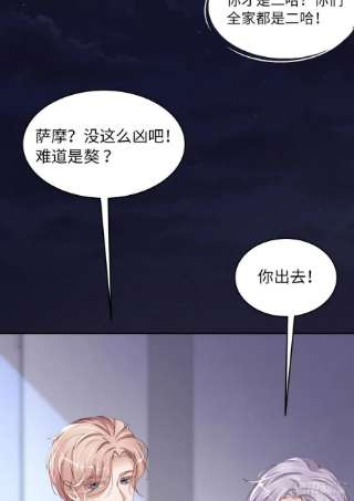 爱有獠牙055 大型猫科动物