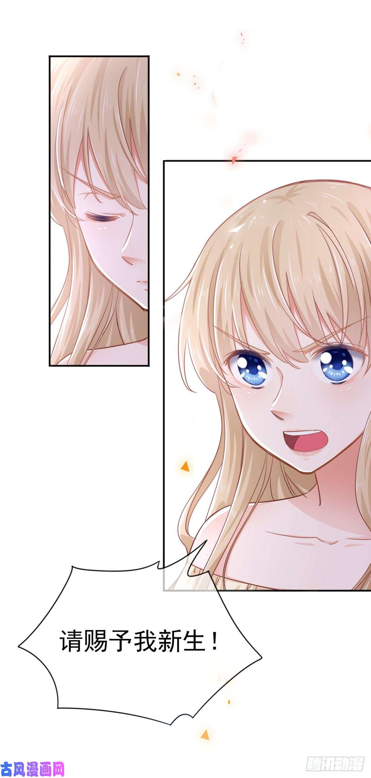 帝国第一团宠皇女预告