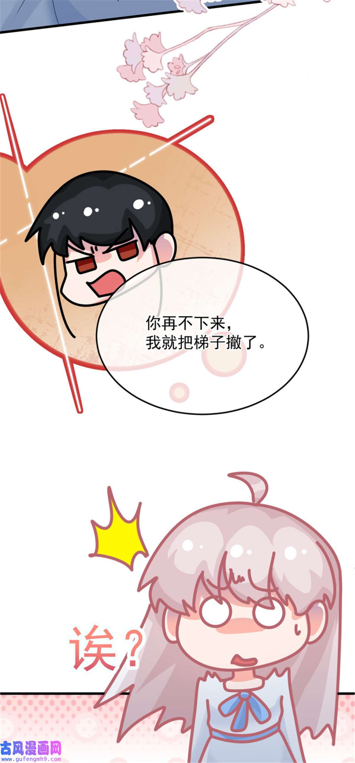冷血公爵攻略计划第86话 那是贝拉的心意