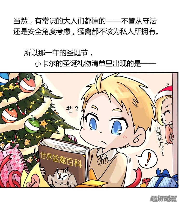 进化之基飞吧小少爷：梦想照进现实