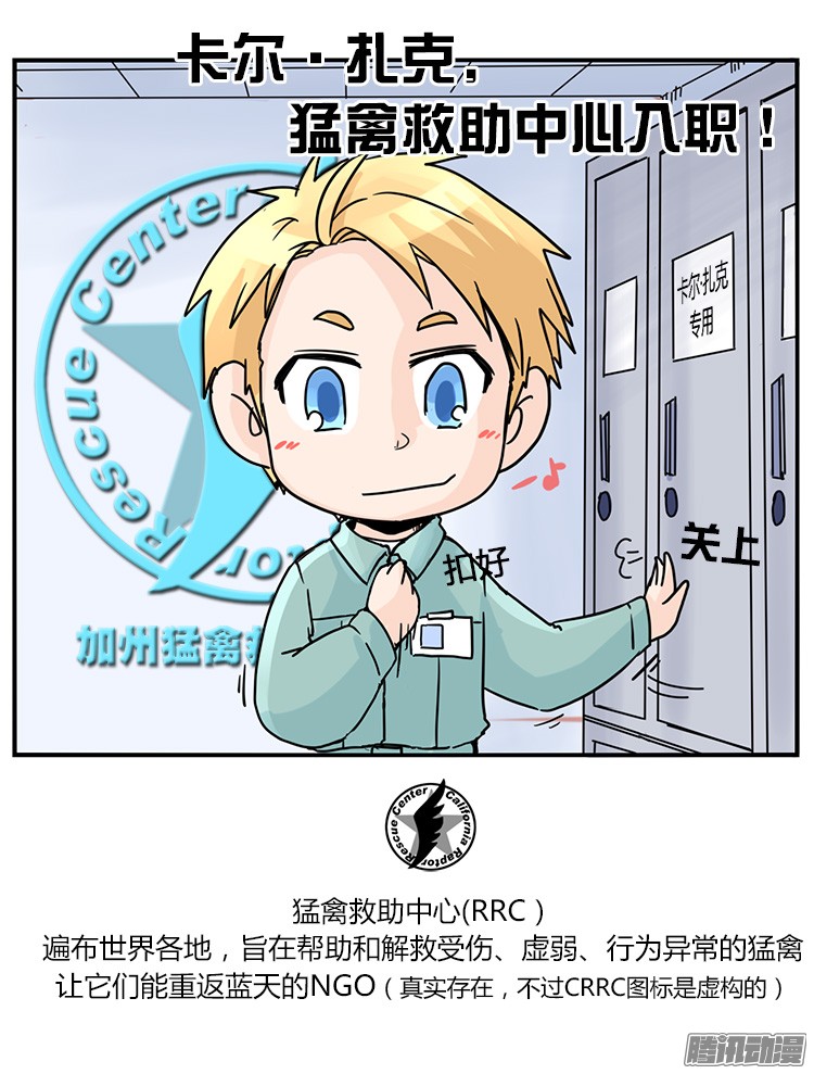 进化之基飞吧小少爷：梦想照进现实