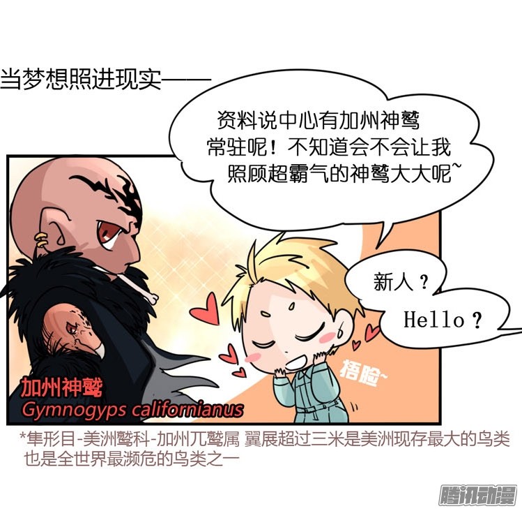 进化之基飞吧小少爷：梦想照进现实