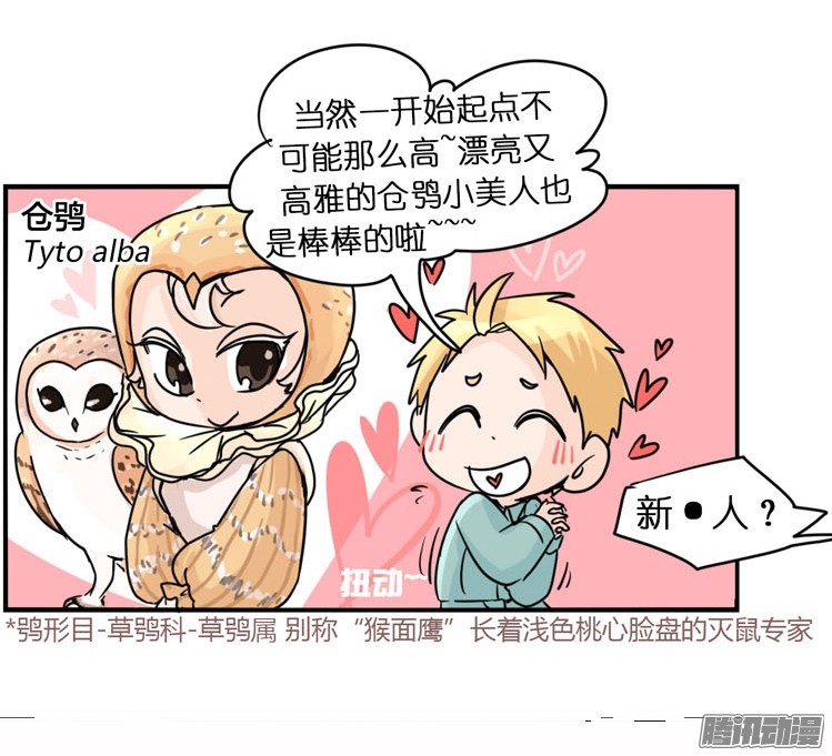 进化之基飞吧小少爷：梦想照进现实