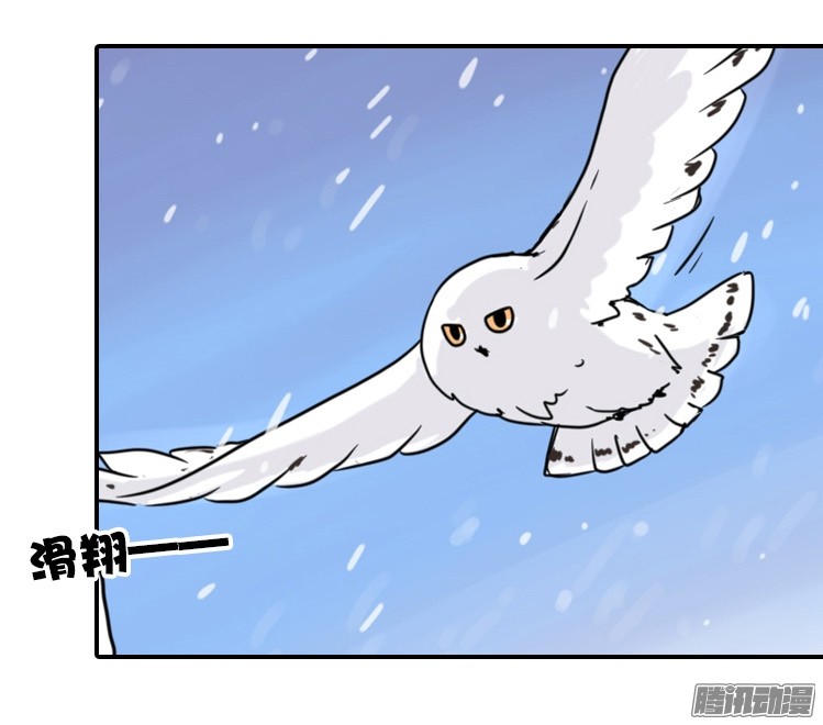 进化之基飞吧小少爷：梦想照进现实