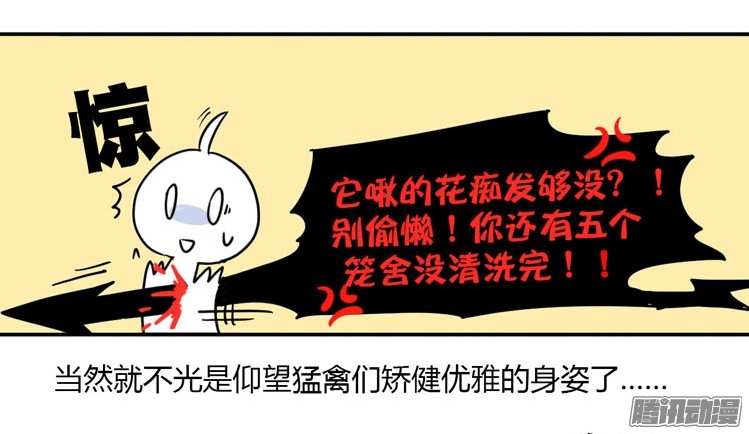 进化之基飞吧小少爷：梦想照进现实