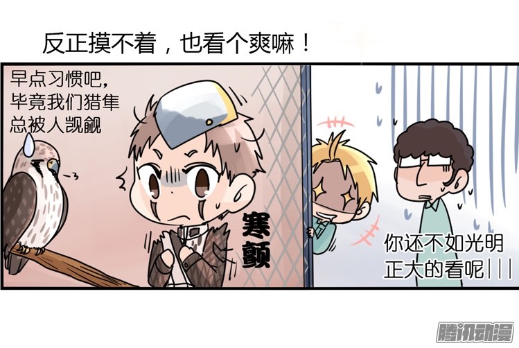 进化之基飞吧小少爷：梦想照进现实