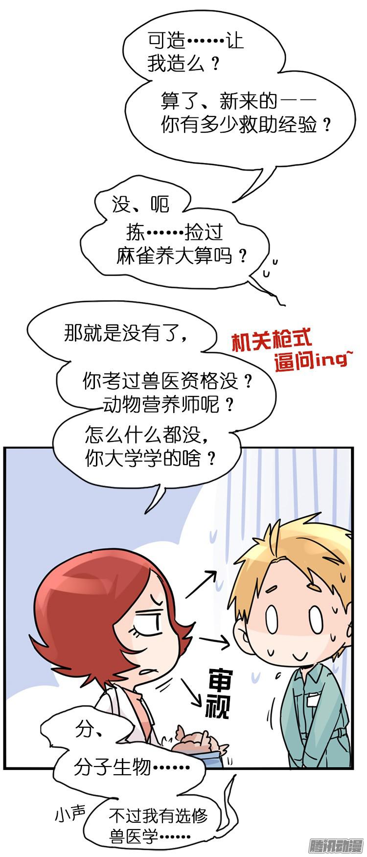 进化之基飞吧小少爷：梦想照进现实