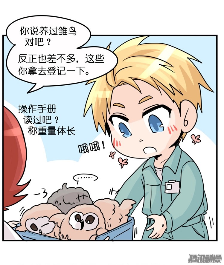进化之基飞吧小少爷：梦想照进现实