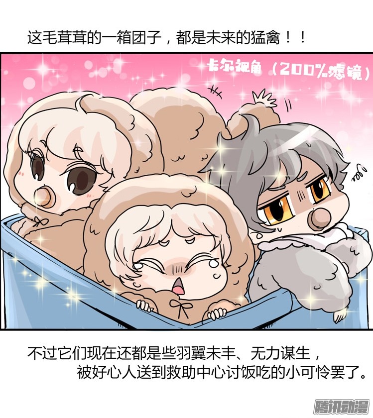 进化之基飞吧小少爷：梦想照进现实