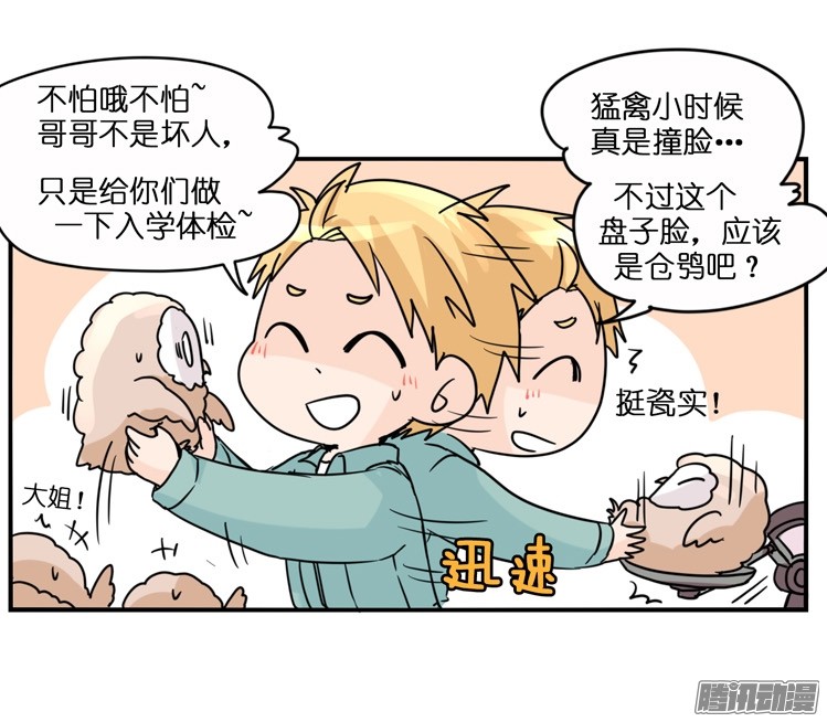 进化之基飞吧小少爷：梦想照进现实