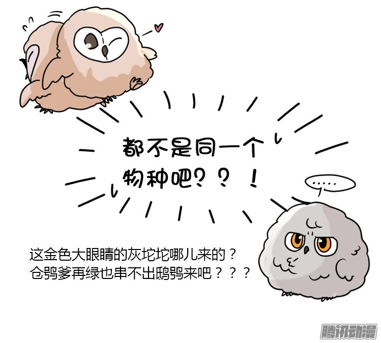 进化之基飞吧小少爷：梦想照进现实
