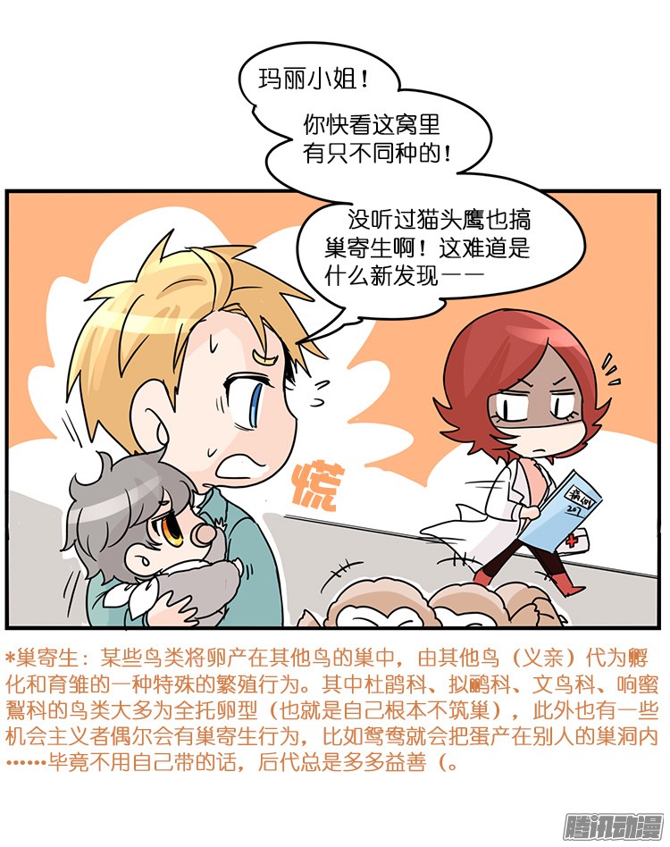 进化之基飞吧小少爷：梦想照进现实