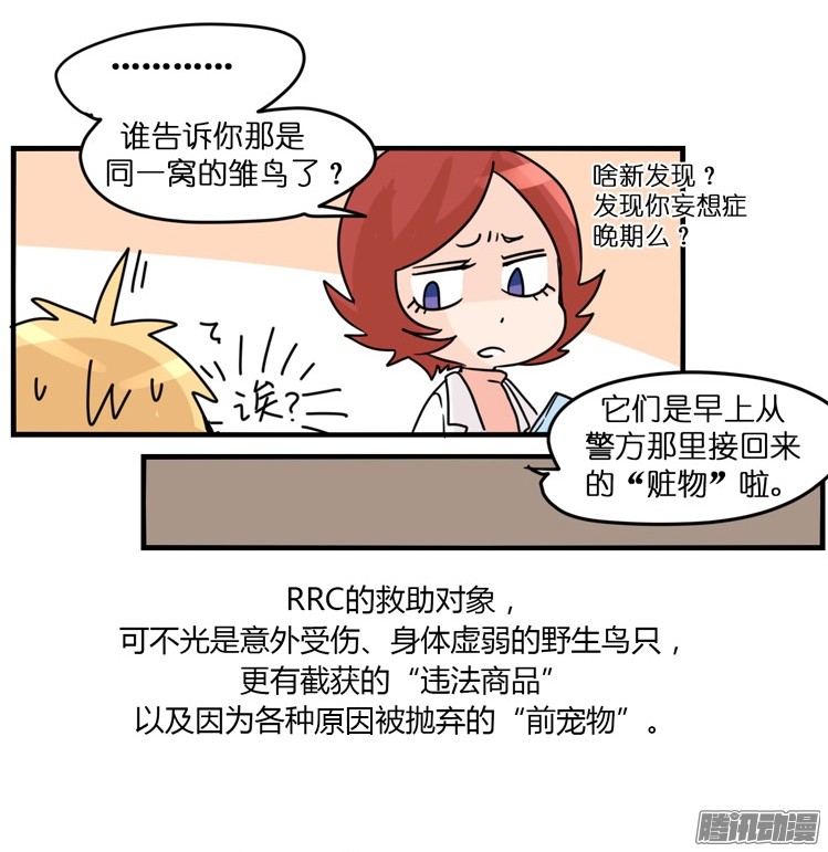 进化之基飞吧小少爷：梦想照进现实