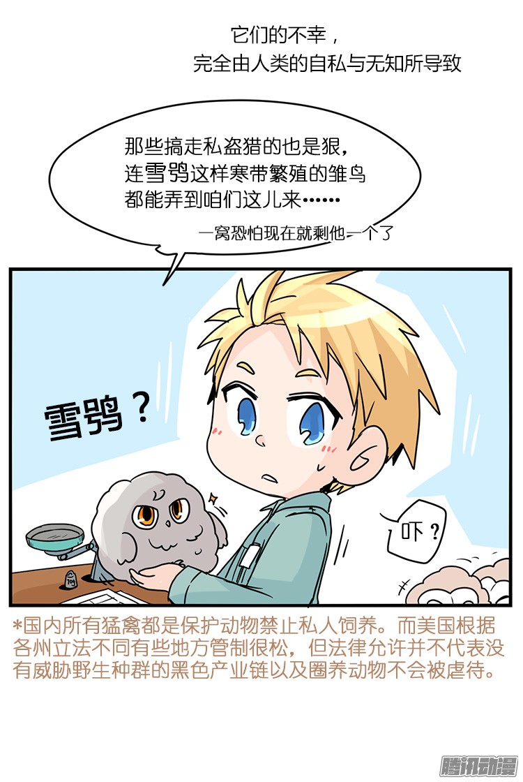 进化之基飞吧小少爷：梦想照进现实