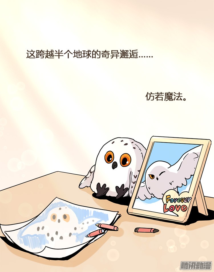进化之基飞吧小少爷：梦想照进现实