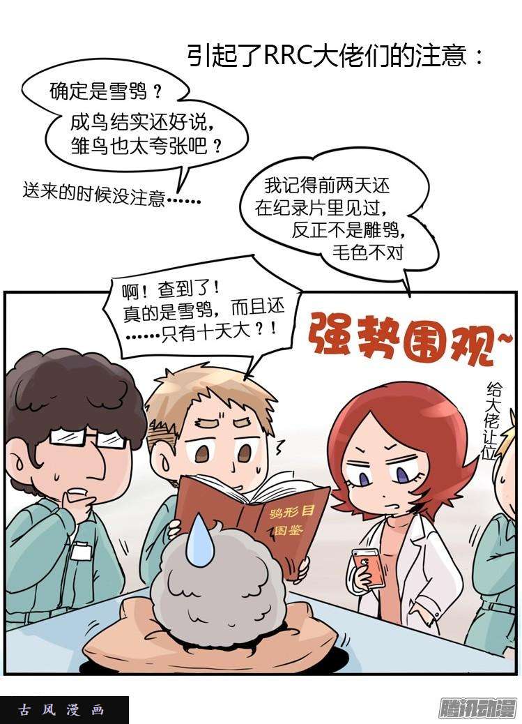 进化之基飞吧小少爷：现实问题