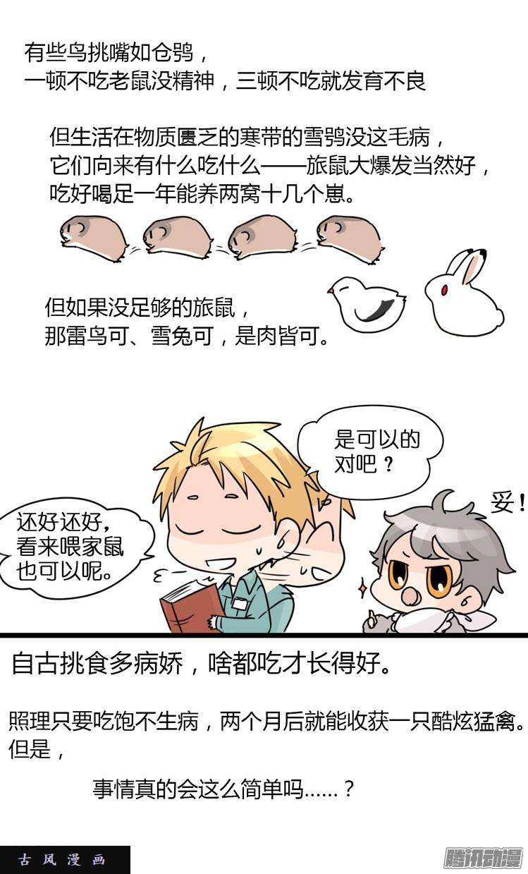 进化之基飞吧小少爷：现实问题