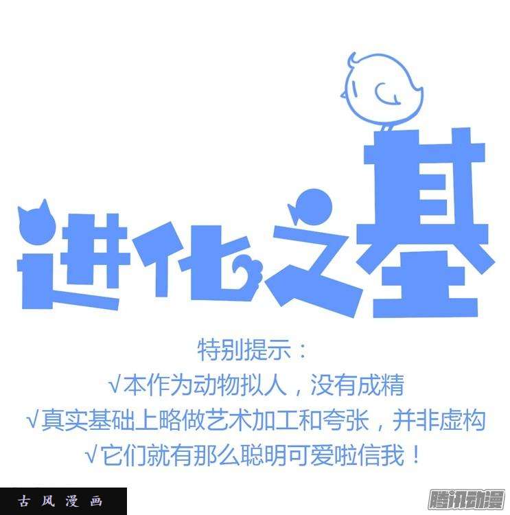 进化之基飞吧小少爷：现实问题