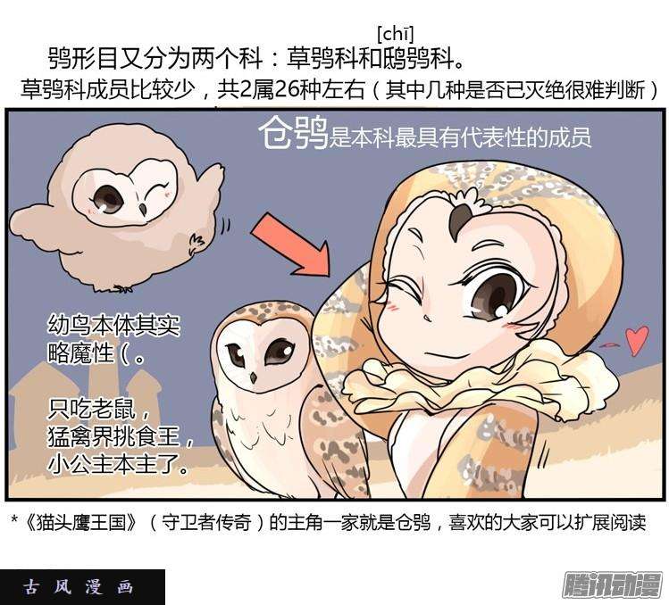 进化之基飞吧小少爷：现实问题