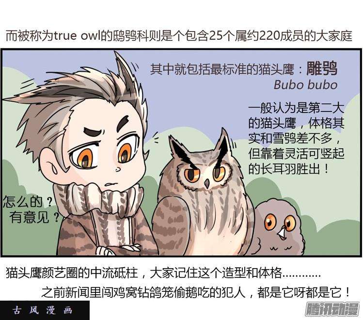 进化之基飞吧小少爷：现实问题