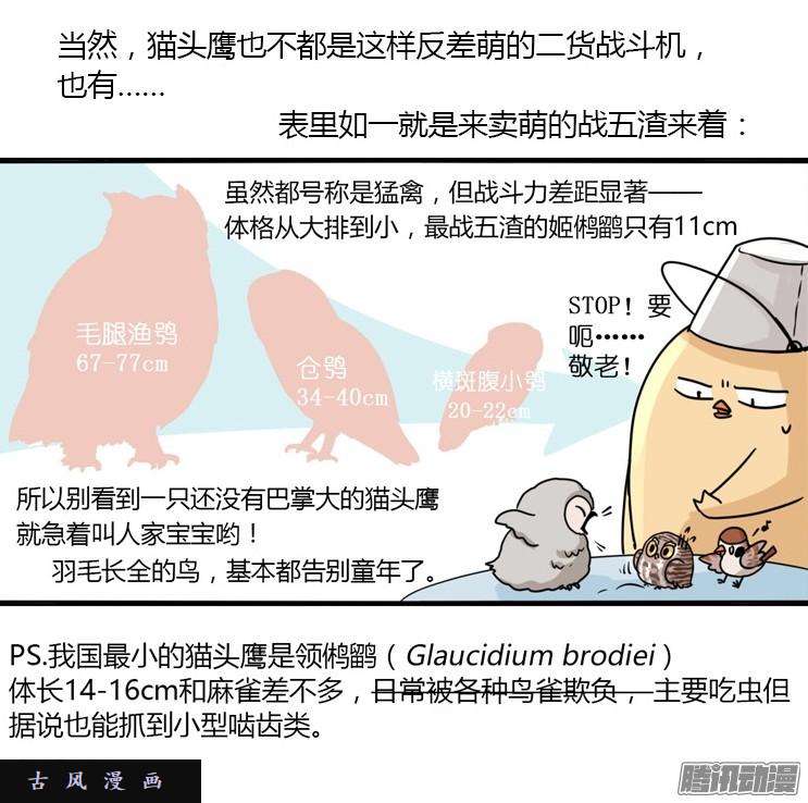 进化之基飞吧小少爷：现实问题