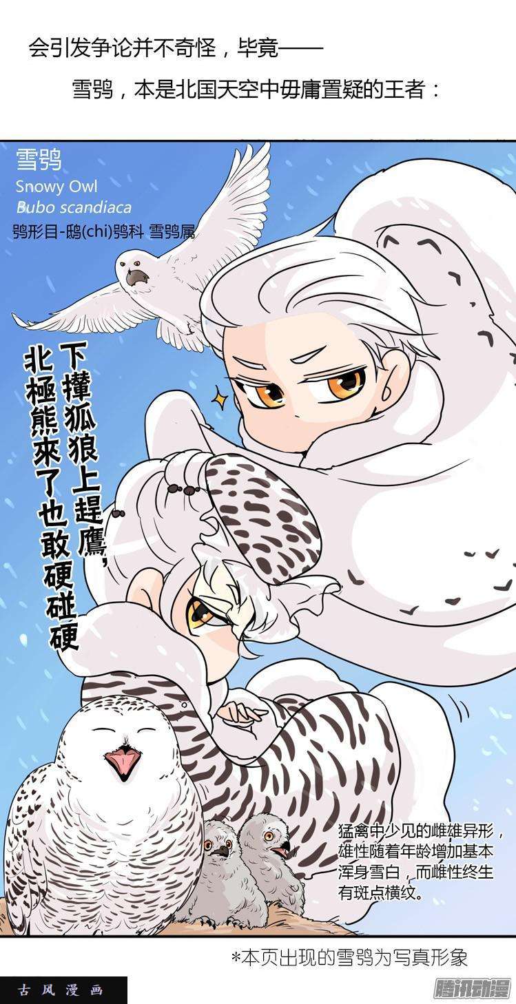 进化之基飞吧小少爷：现实问题