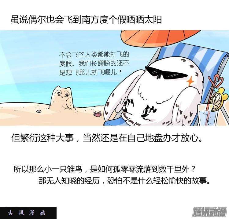 进化之基飞吧小少爷：现实问题