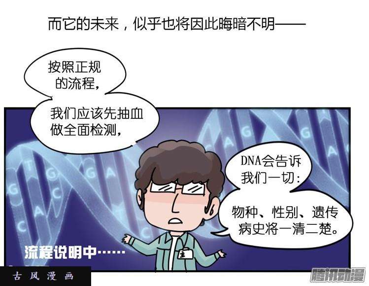 进化之基飞吧小少爷：现实问题